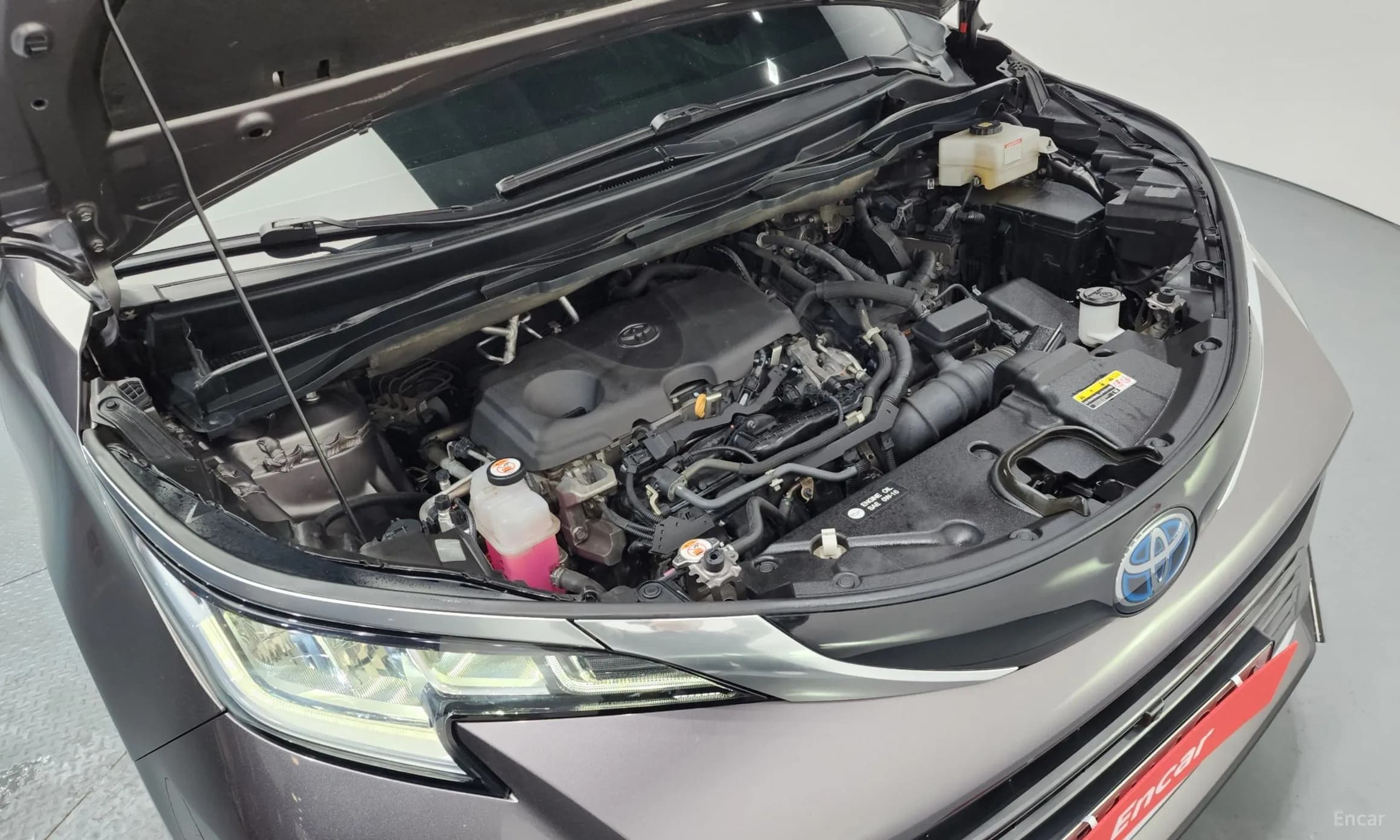 Siena 4th generation