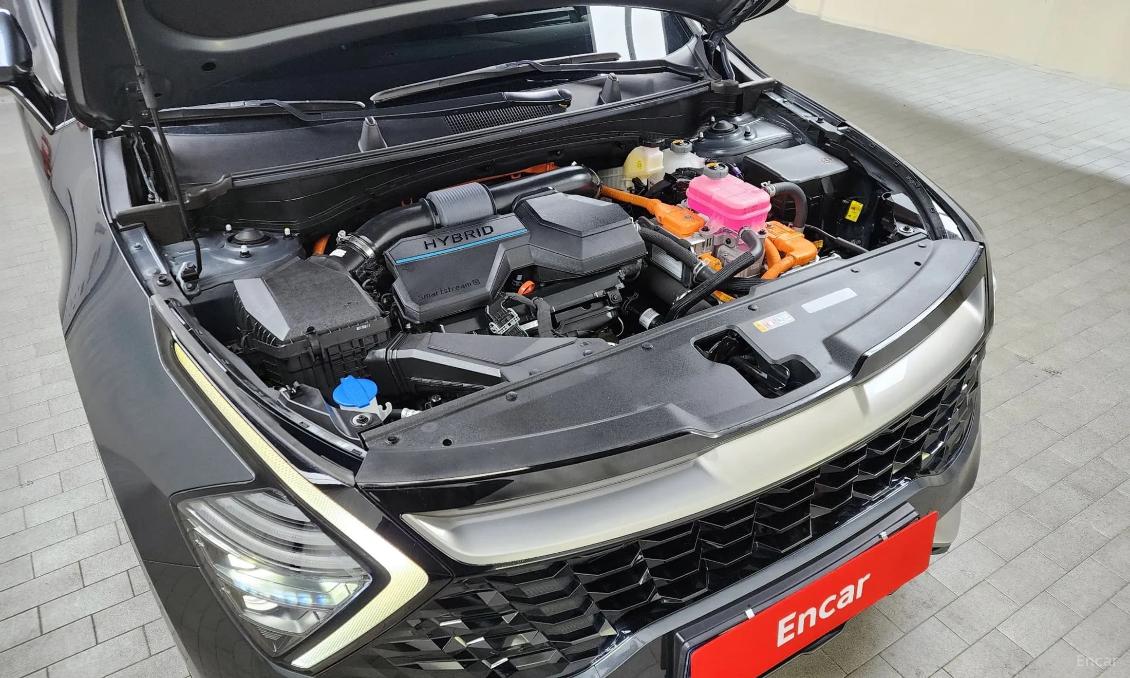 Sportage 5th Generation Hybrid