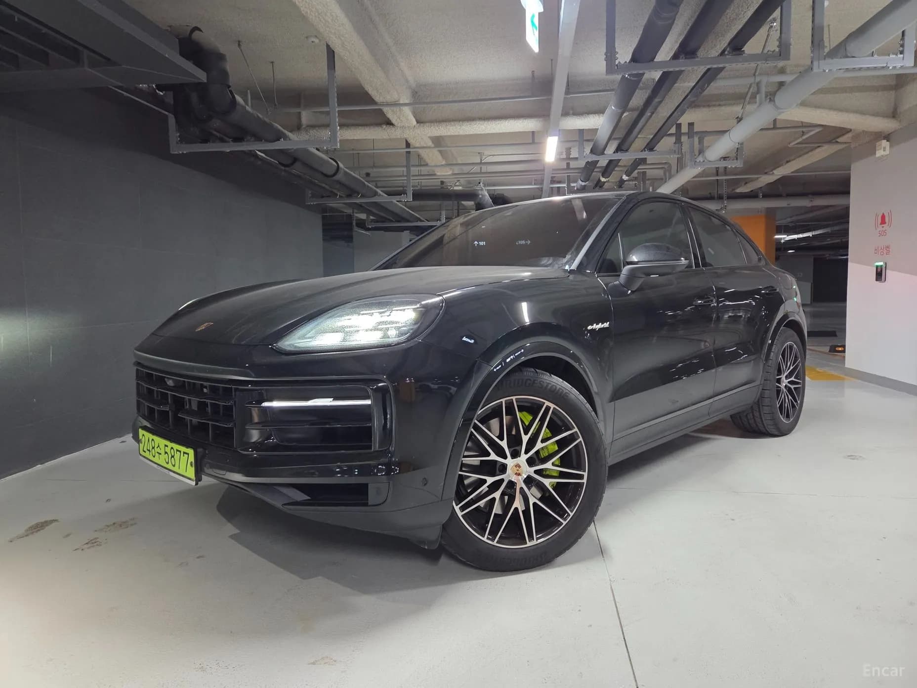 Cayenne (PO536)