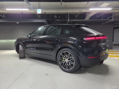 Cayenne (PO536)