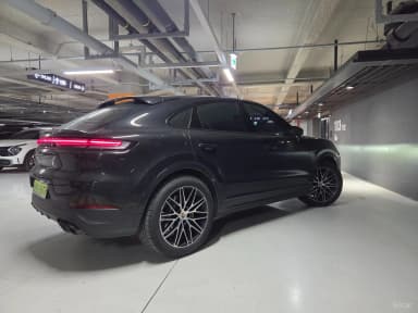 Cayenne (PO536)