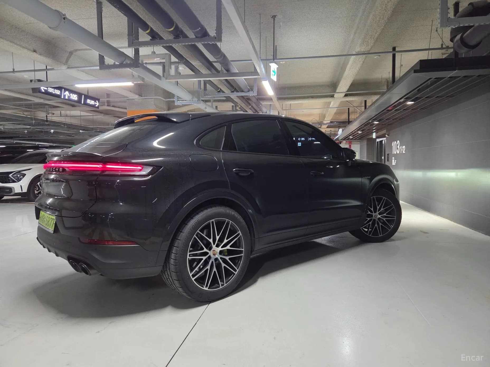 Cayenne (PO536)