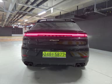 Cayenne (PO536)