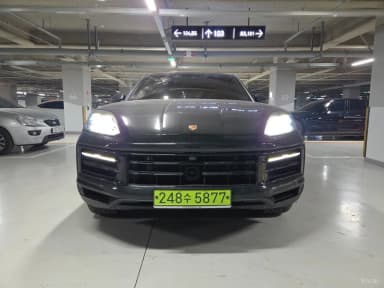 Cayenne (PO536)