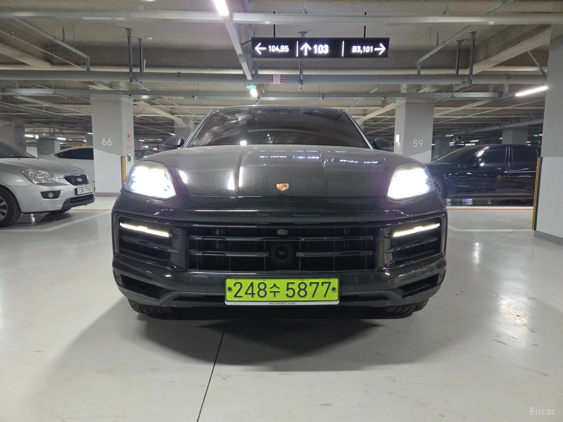 Cayenne (PO536)