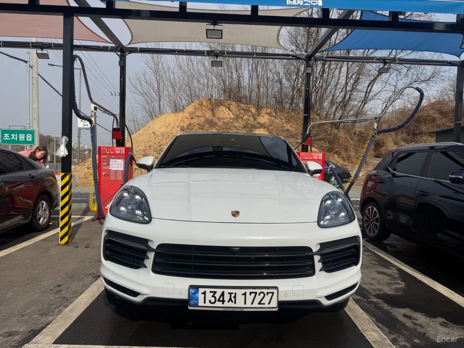 Cayenne (PO536)