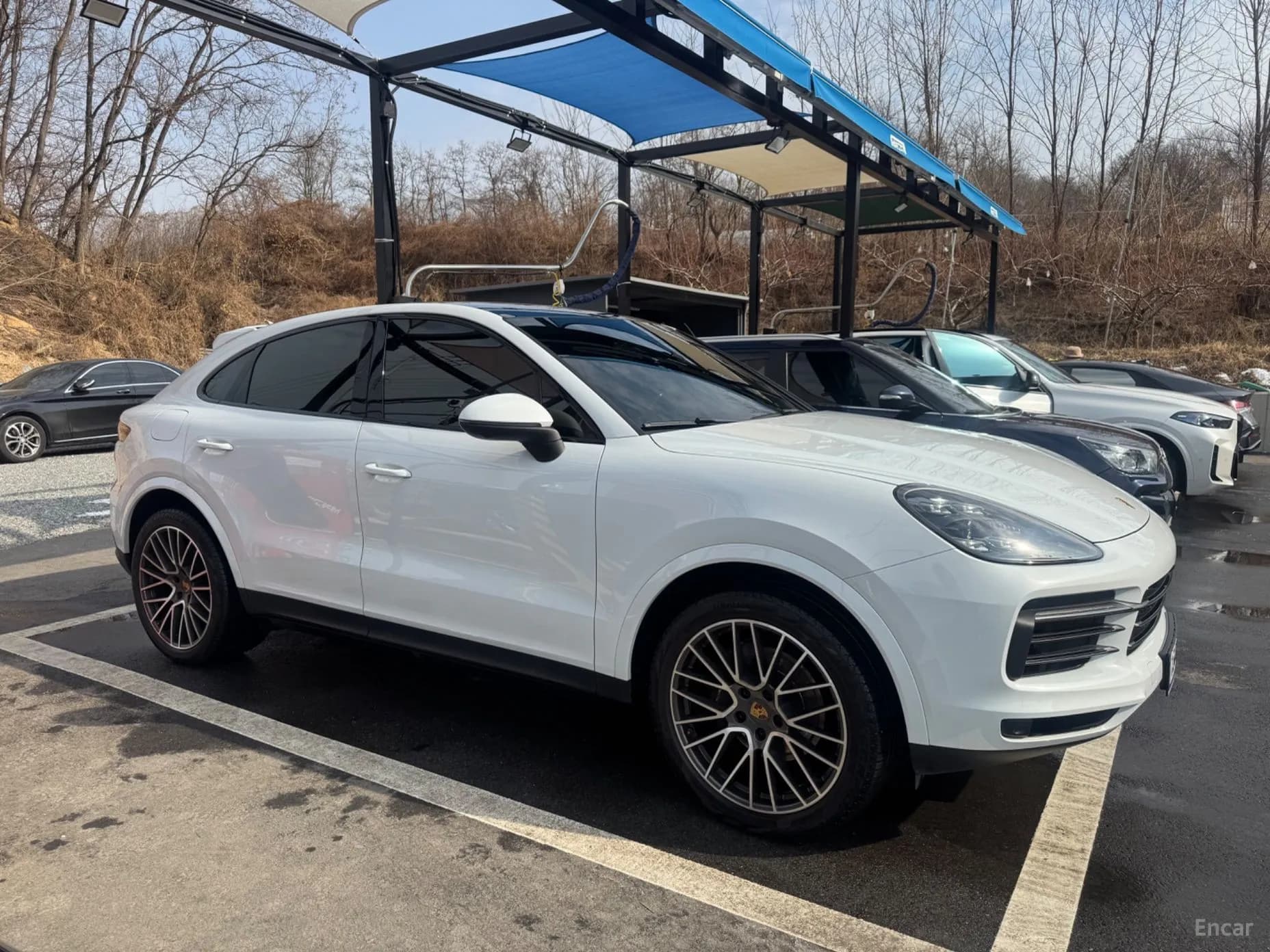 Cayenne (PO536)