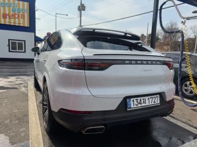 Cayenne (PO536)