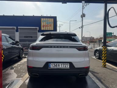 Cayenne (PO536)