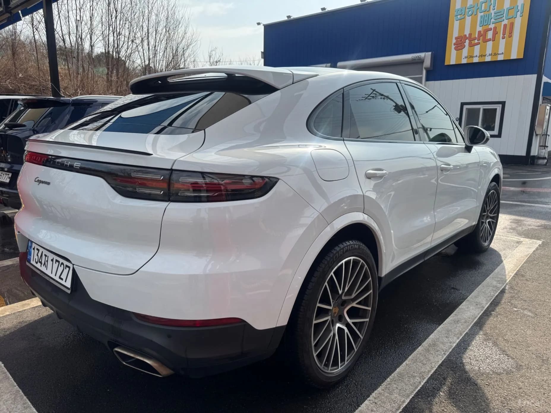 Cayenne (PO536)