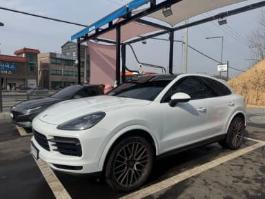 Cayenne (PO536)