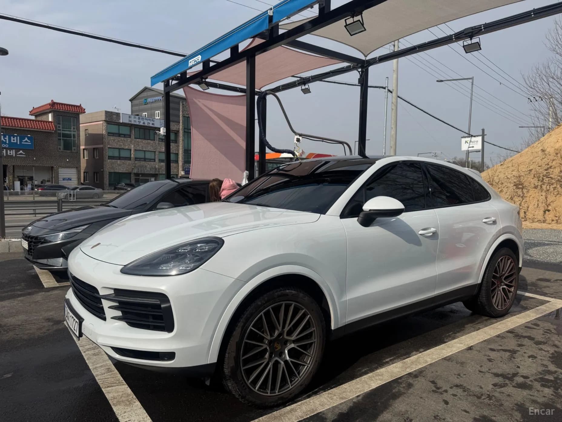 Cayenne (PO536)
