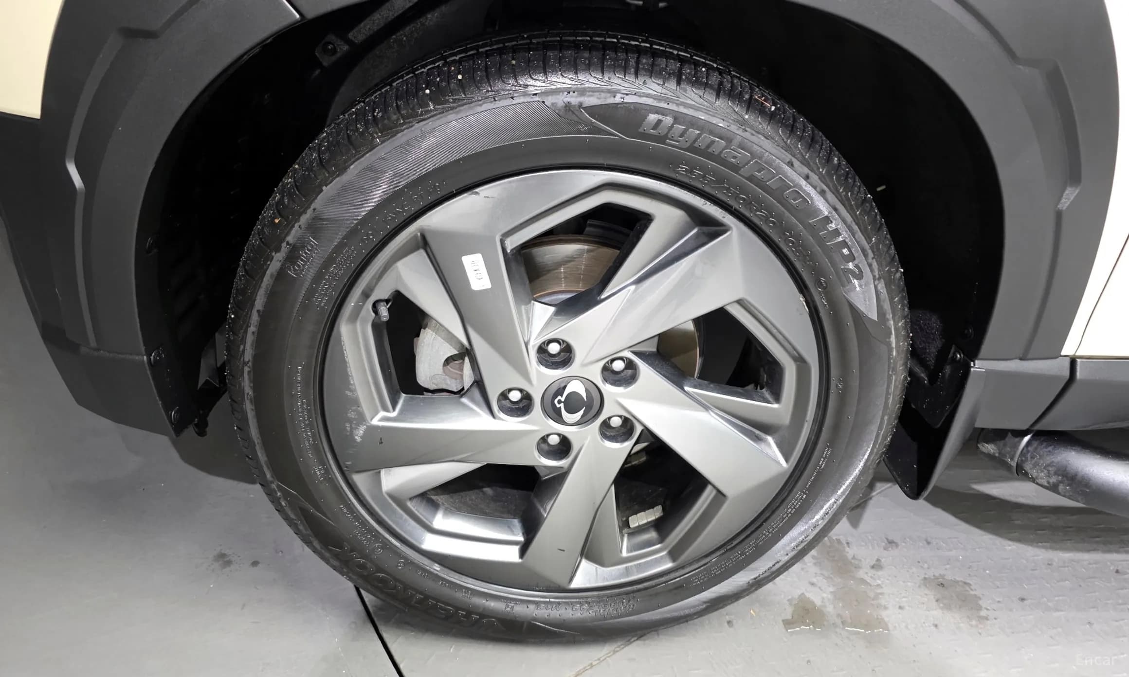 Rexton Sports
