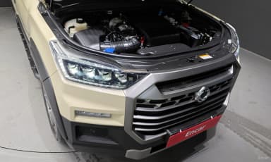 Rexton Sports