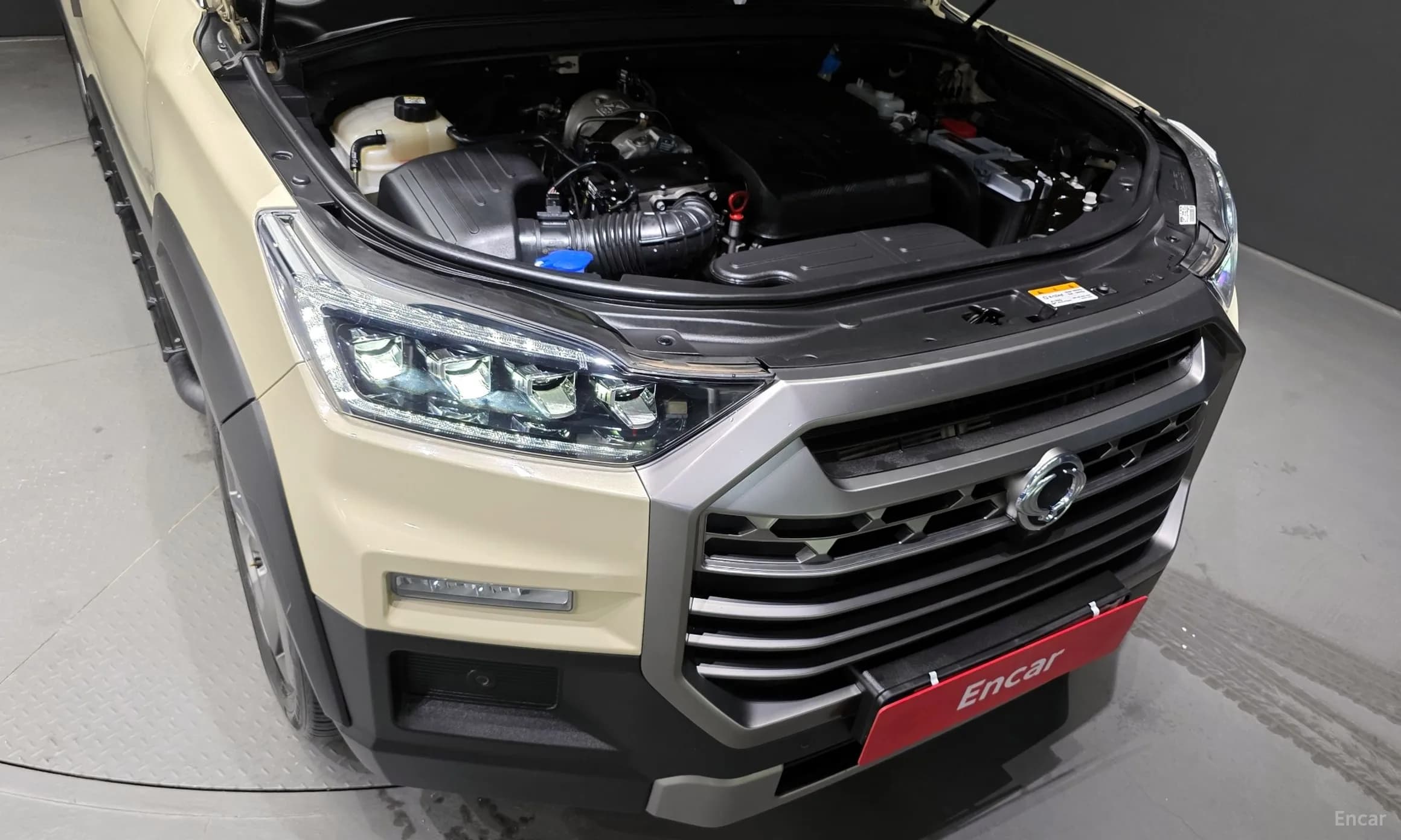 Rexton Sports