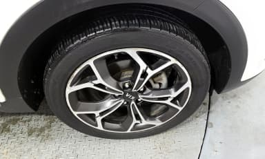 Sportage The Bold