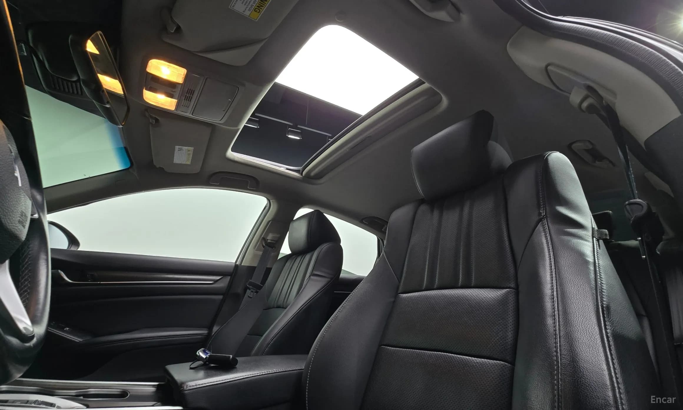 Accord 10th Generation