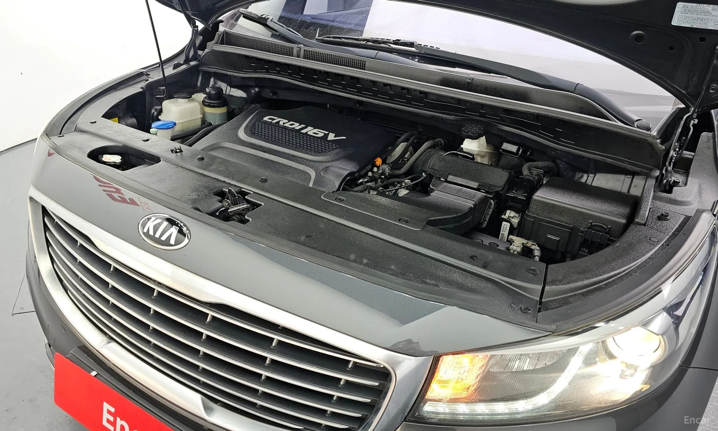 Carnival