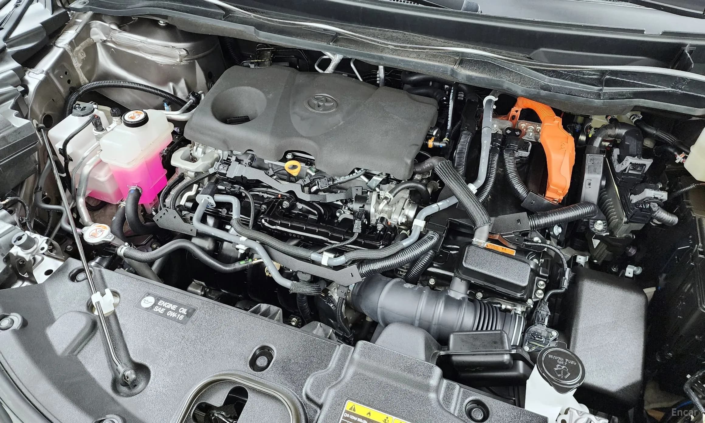 Siena 4th generation