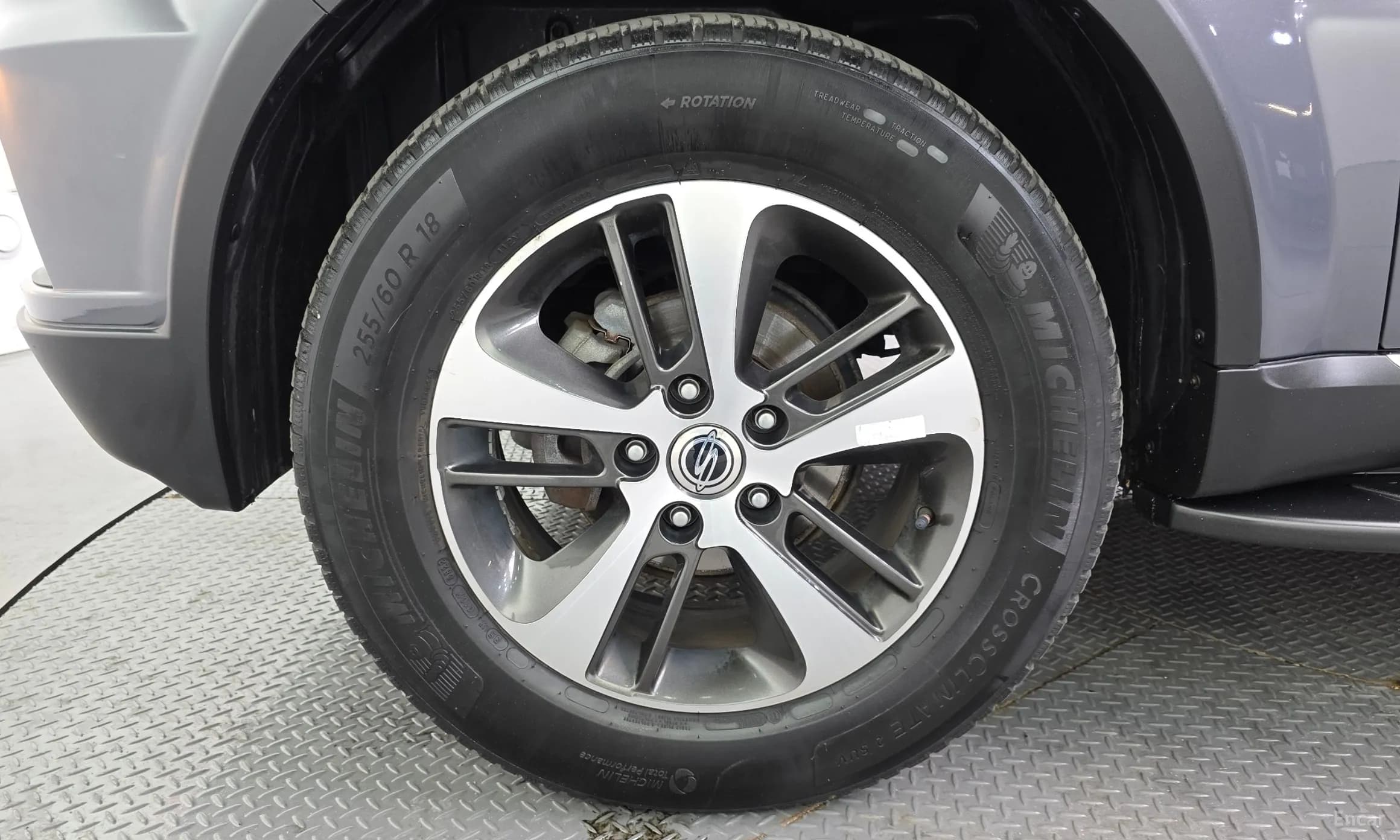 Rexton W