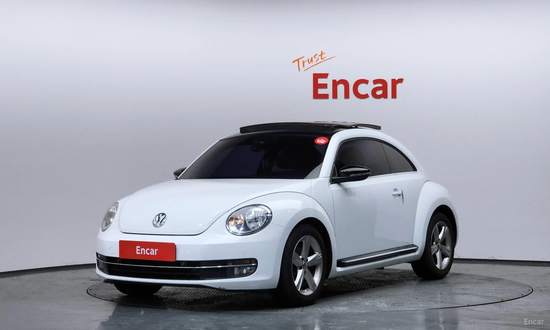 The Beetle