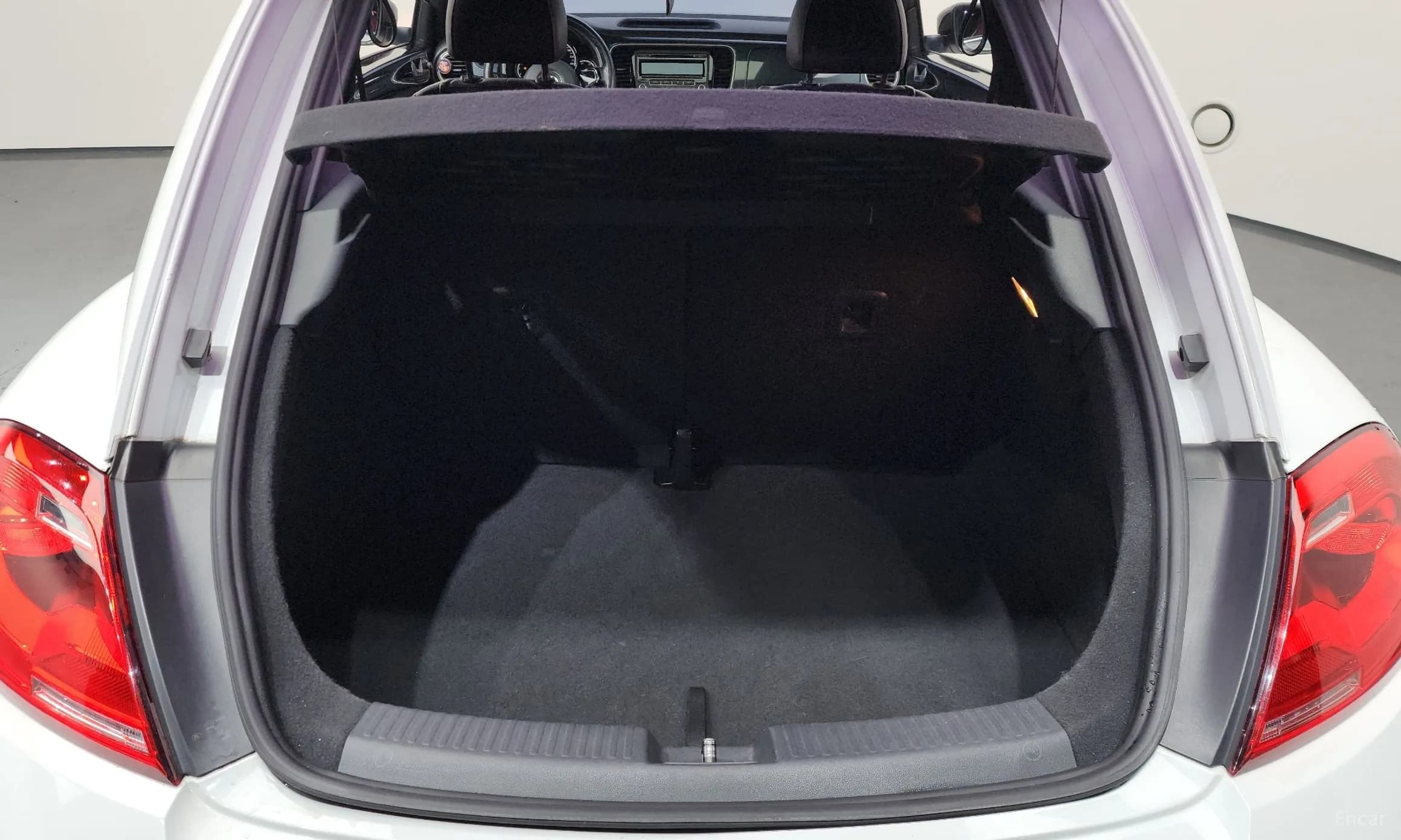 The Beetle