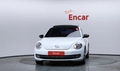 The Beetle