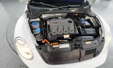 The Beetle