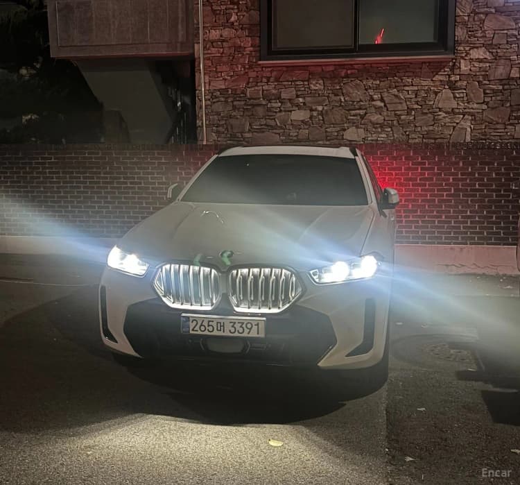 X6 (G06)