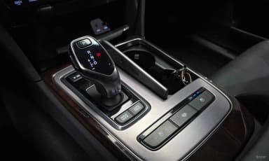 Equus (new)