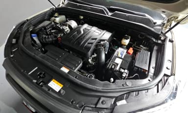 Rexton Sports