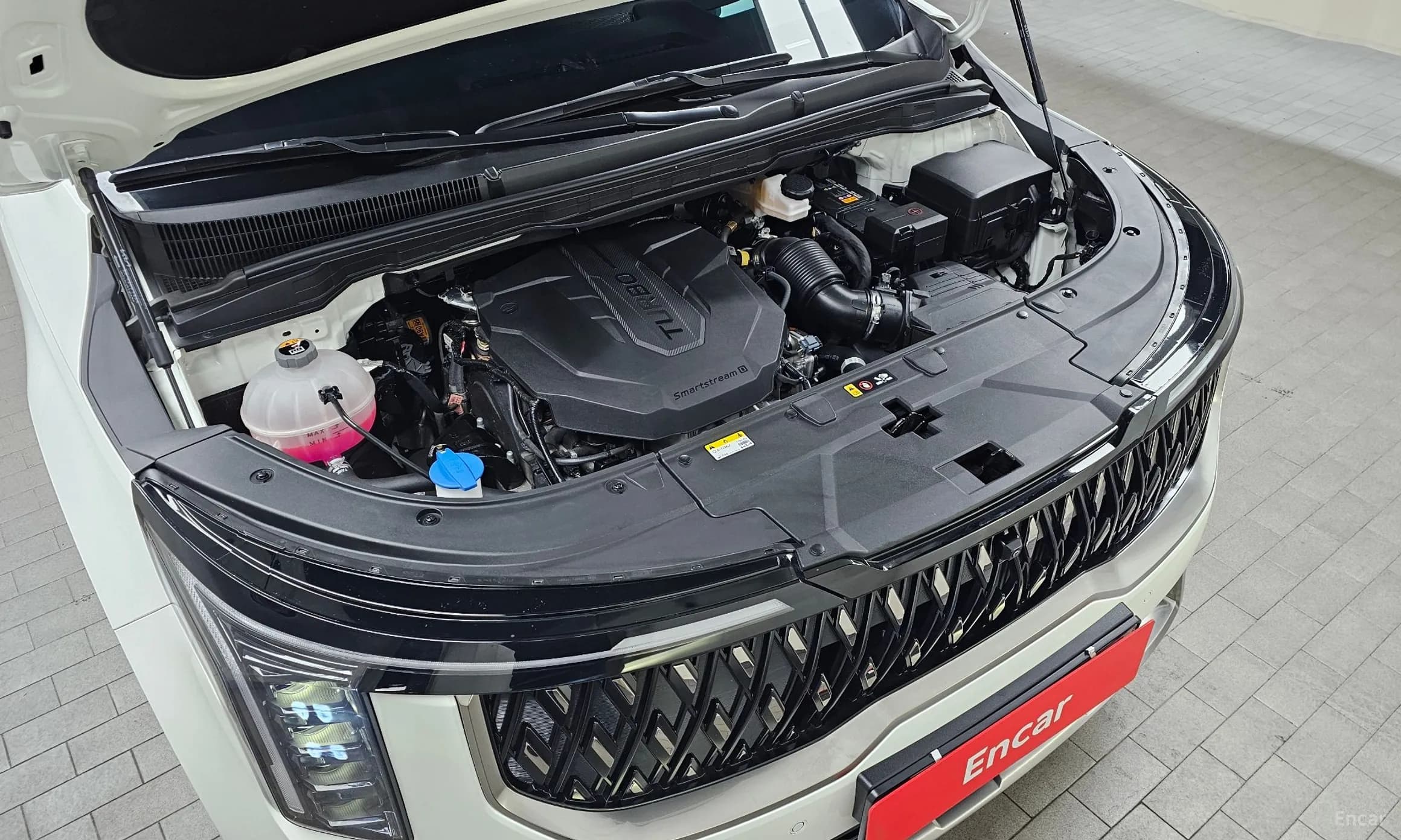 Carnival 4th Generation