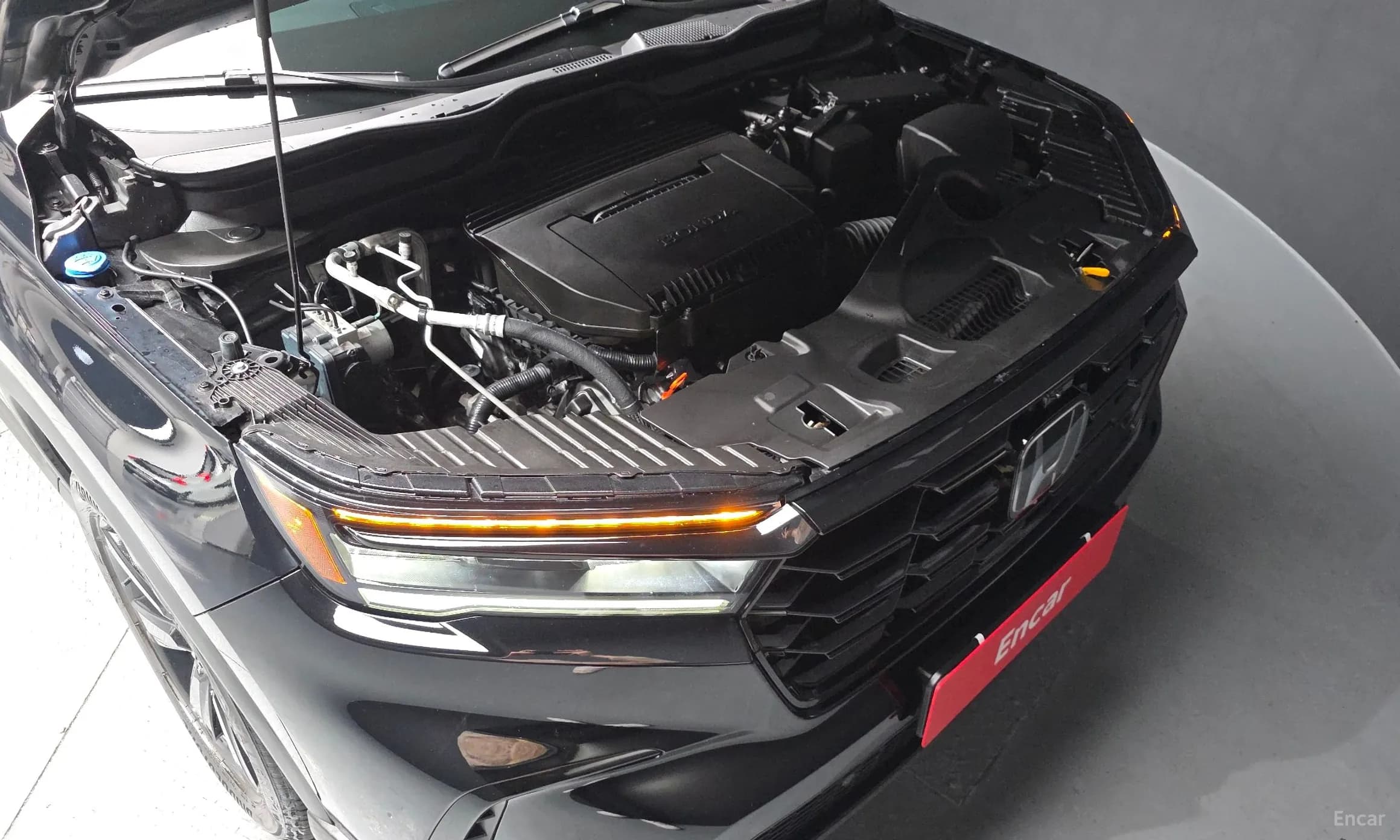 Pilot 4th Generation