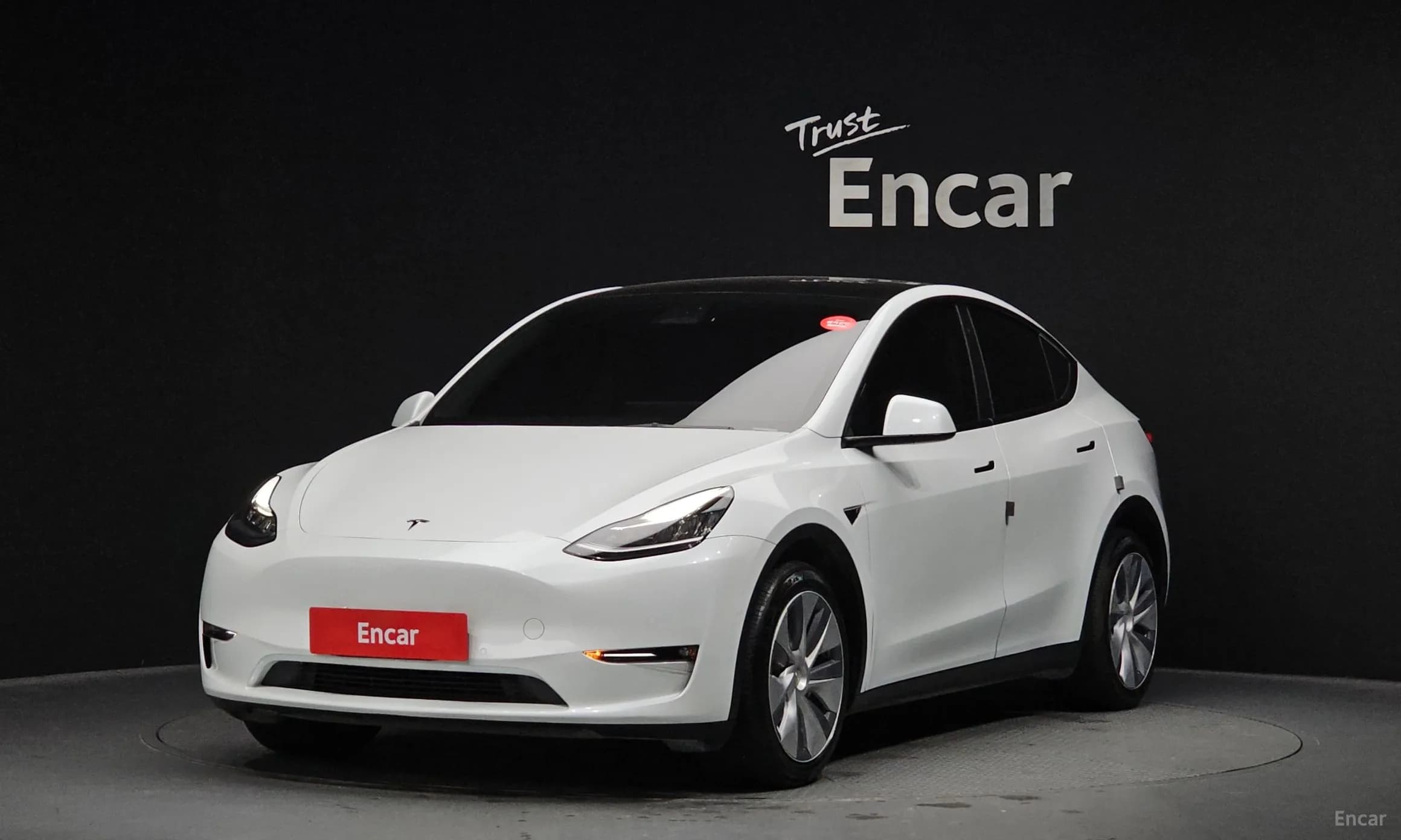 Model Y