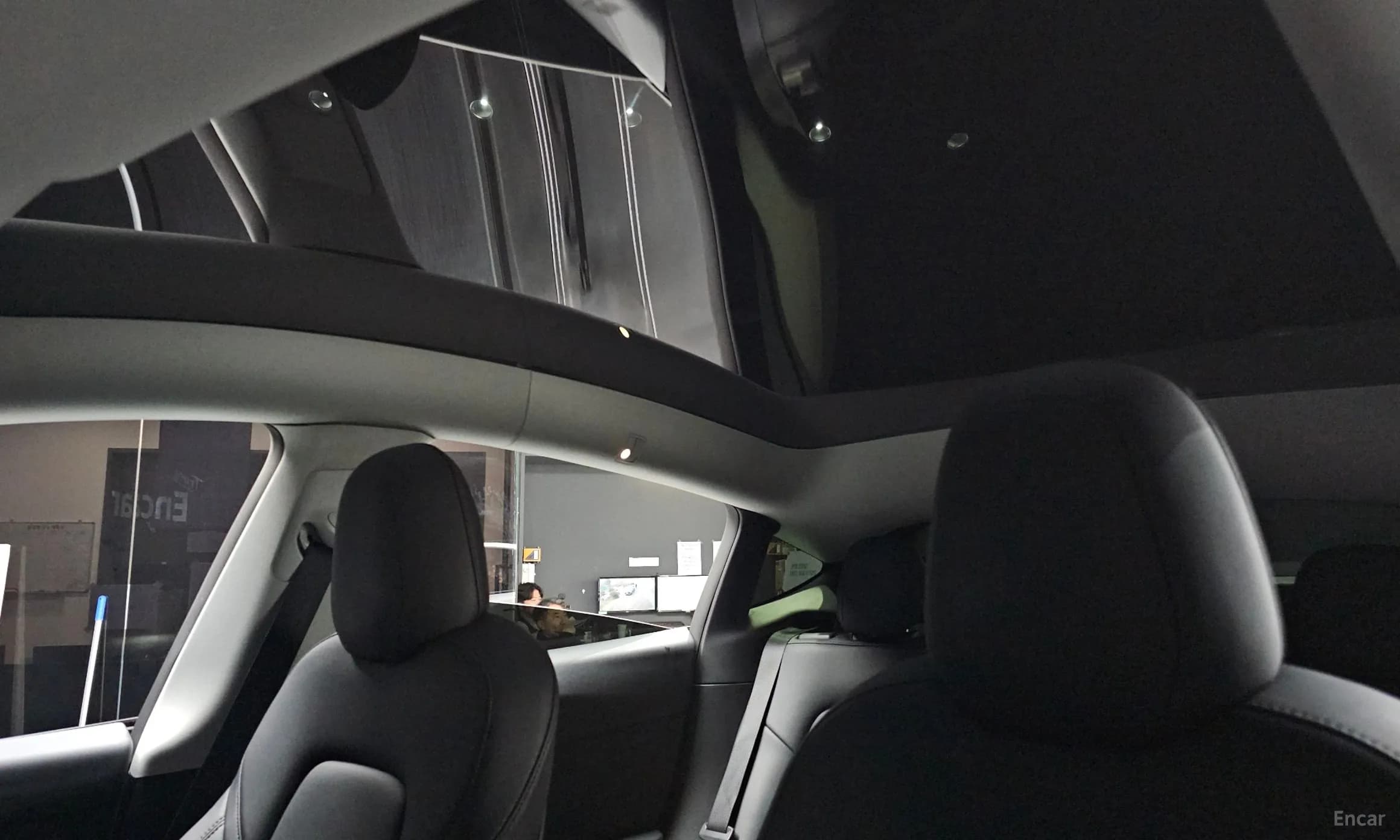 Model Y