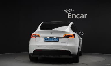 Model Y