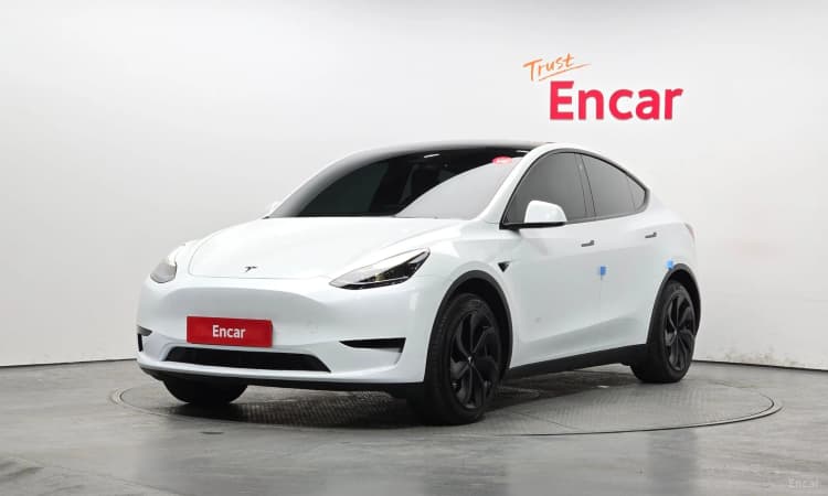 Model Y