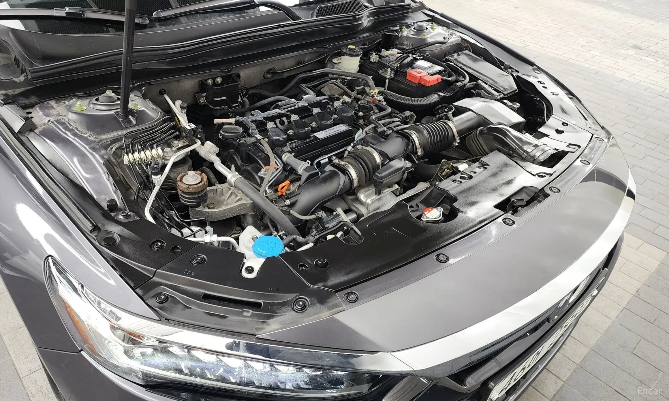 Accord 10th Generation