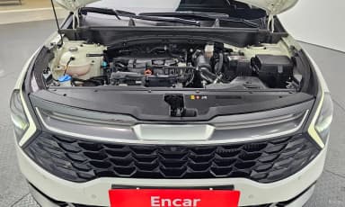 Sportage 5th Generation