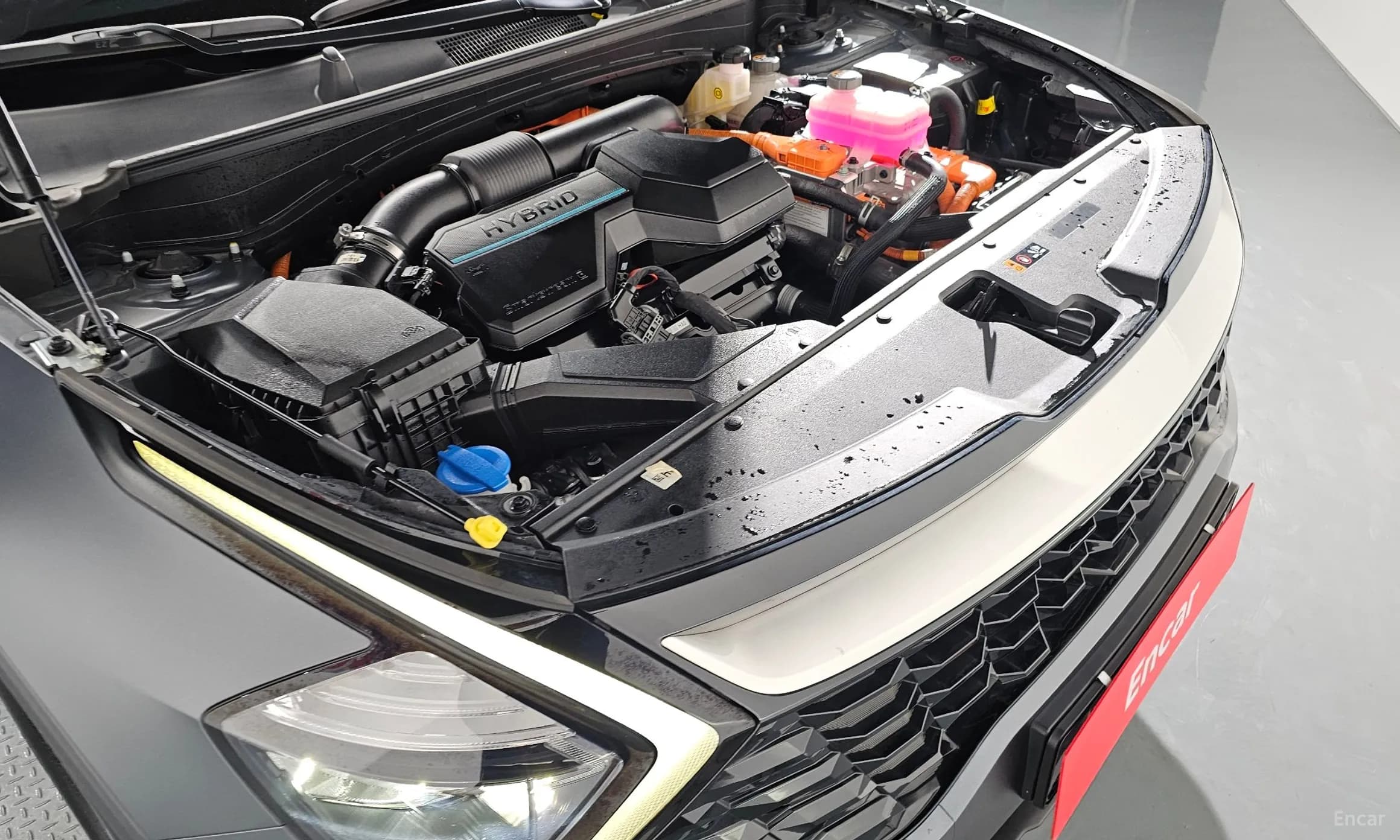 Sportage 5th Generation Hybrid