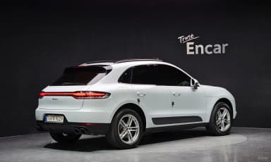 Macan