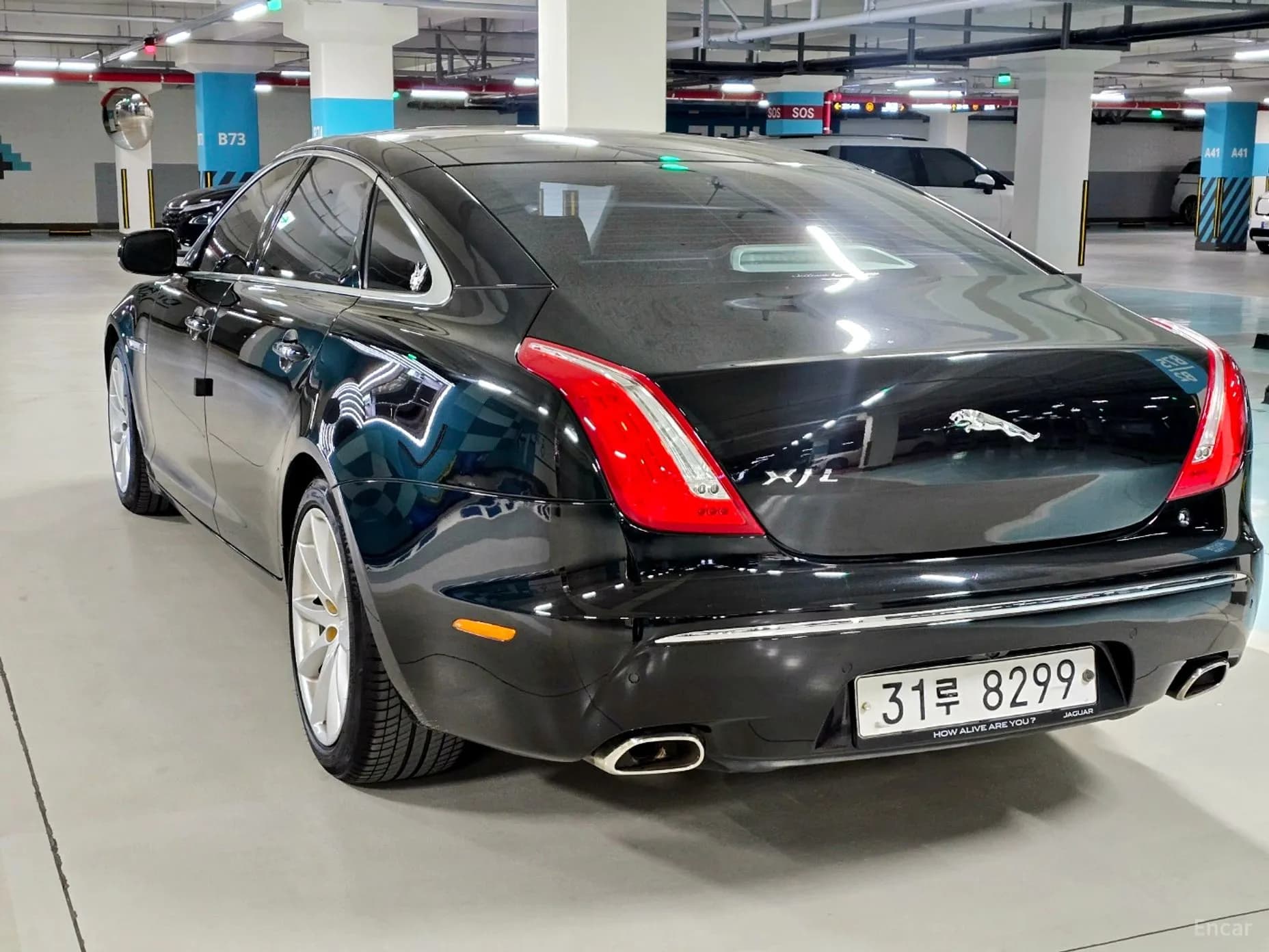All New XJ