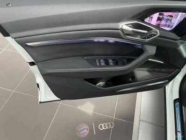 Q8 e-tron (GE)