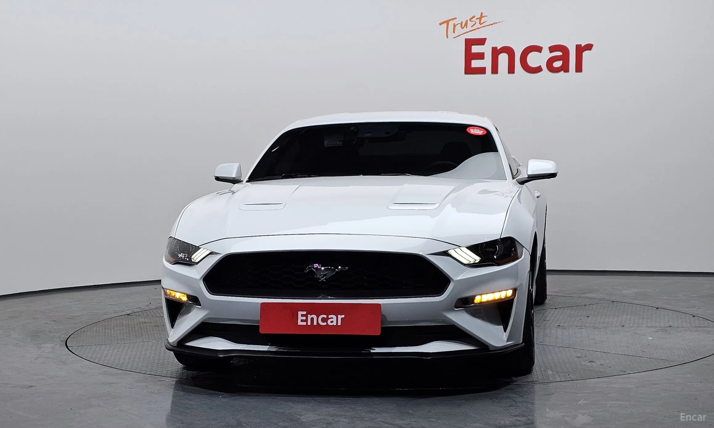 Mustang
