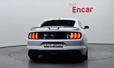 Mustang
