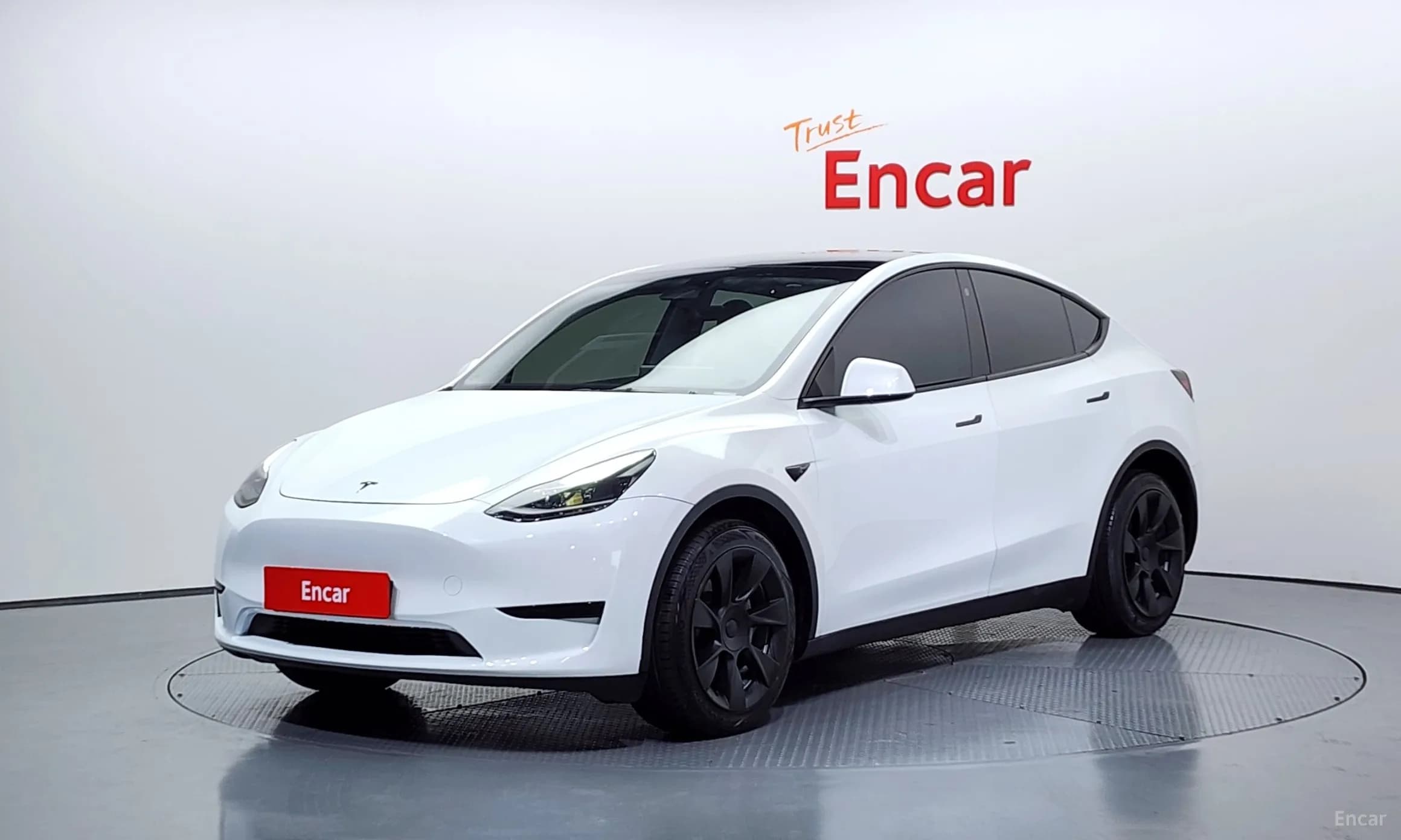 Model Y