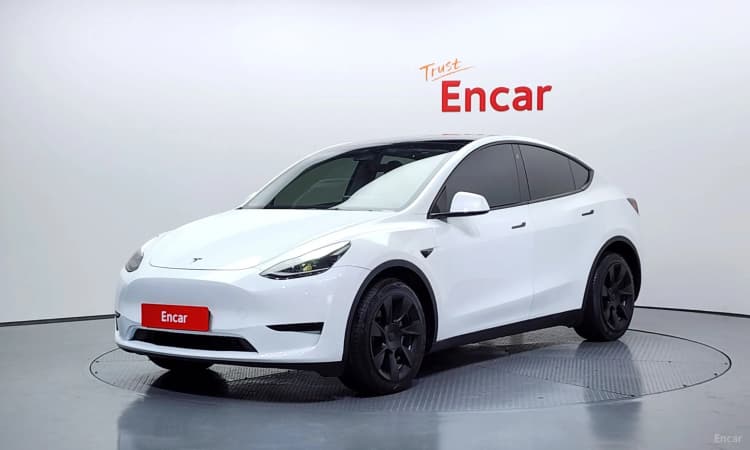 Model Y
