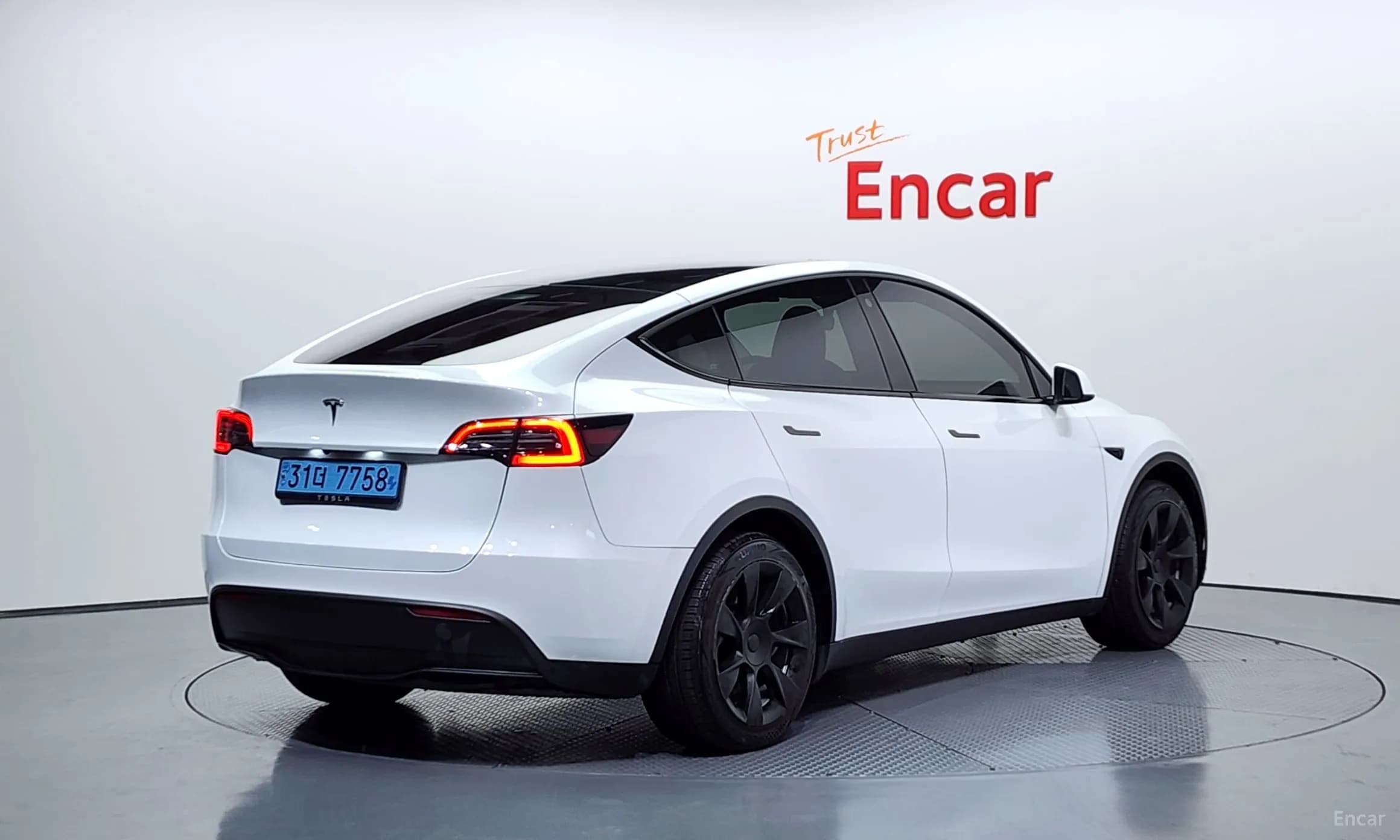 Model Y