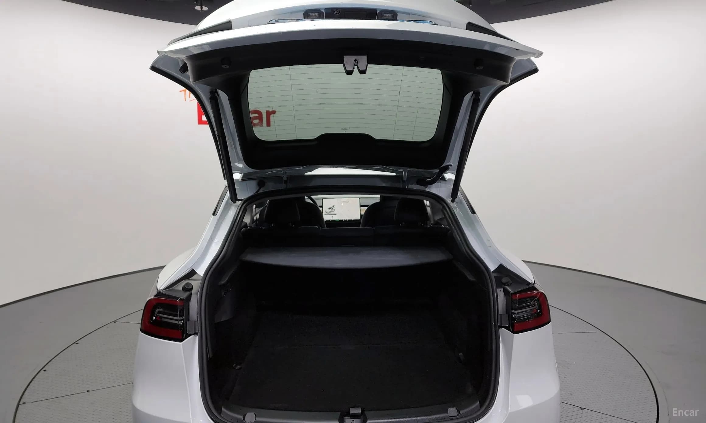 Model Y