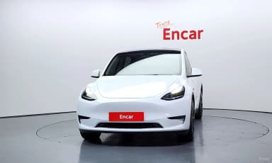 Model Y